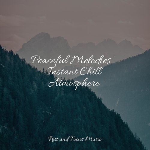 Peaceful Melodies | Instant Chill Atmosphere_poster_image