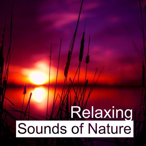 Relaxing Sounds of Nature – Rest & Relax, New Age Music, Soft & Soothing Music, Sounds to Keep Calm