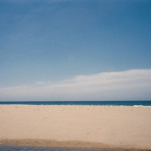 Summer Haze