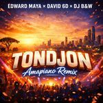 TONDJON (Amapiano Remix)