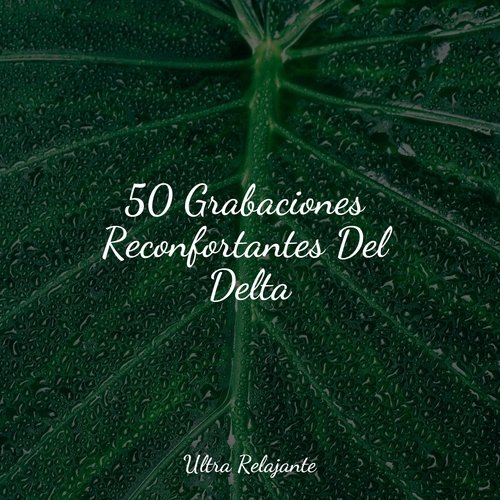 50 Grabaciones Reconfortantes Del Delta_poster_image