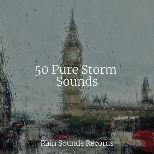 50 Pure Storm Sounds