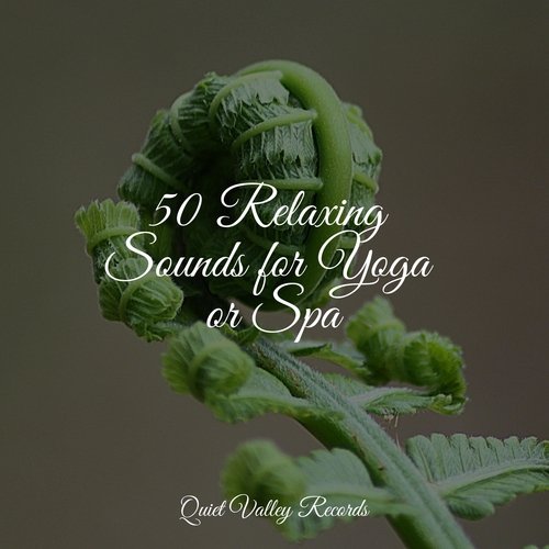 50 Relaxing Sounds for Yoga or Spa