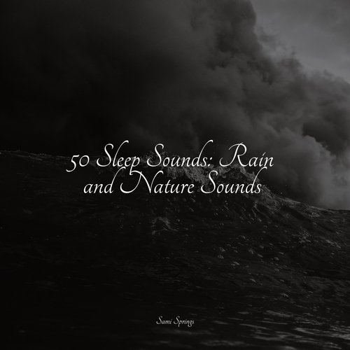 50 Sleep Sounds: Rain and Nature Sounds_poster_image