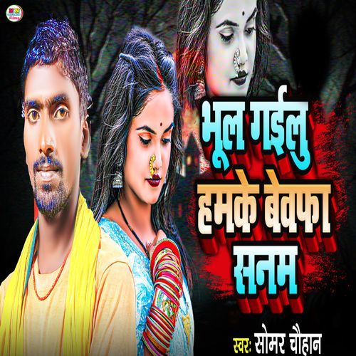 Bhul Gailu Hamke Bewafa Sanam