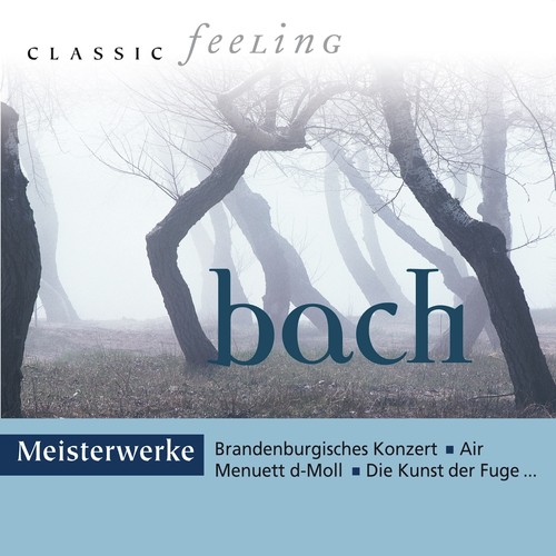 Classic Feeling: Meisterwerke Bach