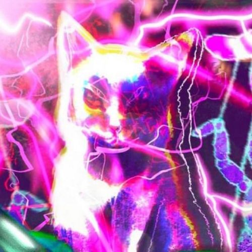 DIN DA PURRRRRRRRRR - KEVIN JZ PRODIGY HA REMIX cover art