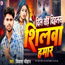 Dil Tor Dihalash Shilwa Hamar