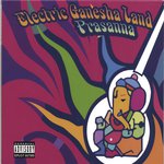 Electric Ganesha Land