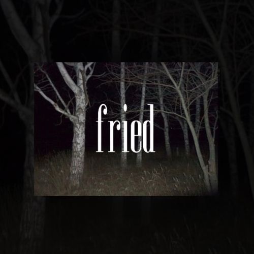 FRIED cover art