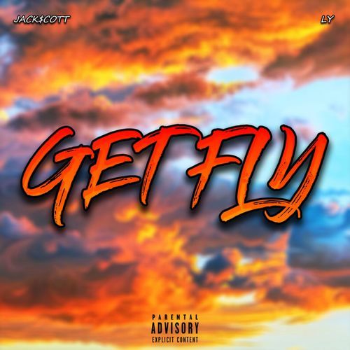 Get Fly_poster_image