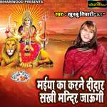 Bhairo Aaye Navrat Mein