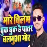 Mare Chilam Dhuk Dhuk Hai Patar Blamua Mor