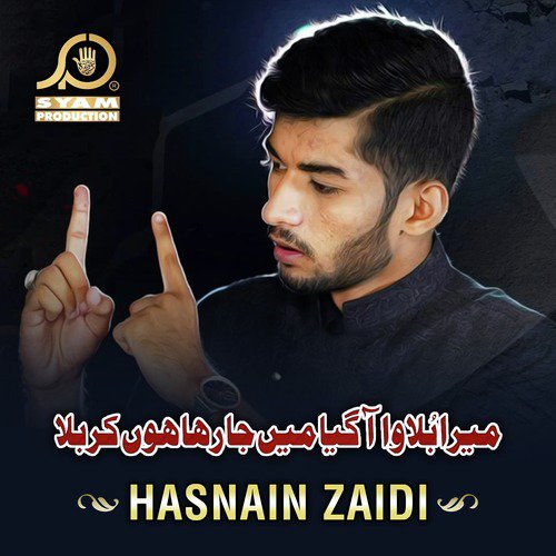 Hasnain Zaidi