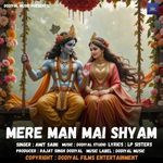 Mere Man Mai Shyam