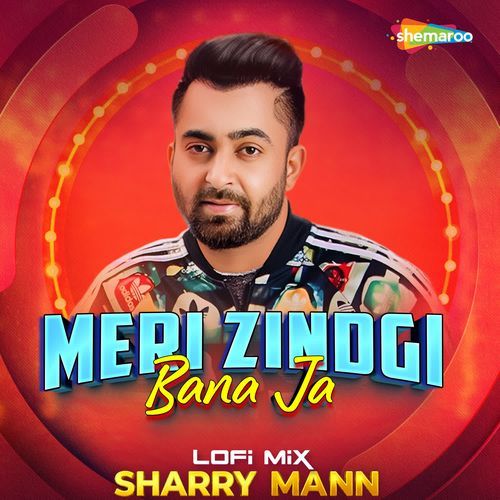Meri Zindgi Bana Ja Lofi Mix