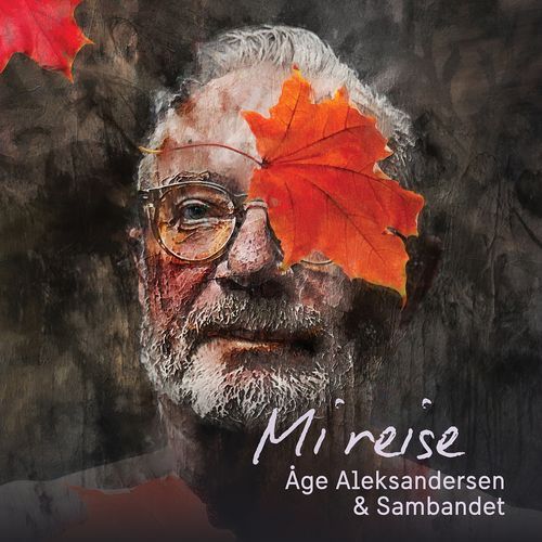 Alltid Aldri (feat. Ingebjørg Bratland) cover art