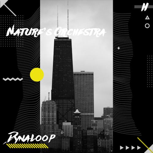 Nature's Orchestra cover art