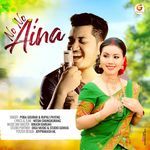 No No Aina artwork