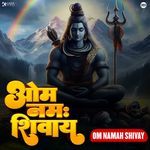Om Namah Shivay