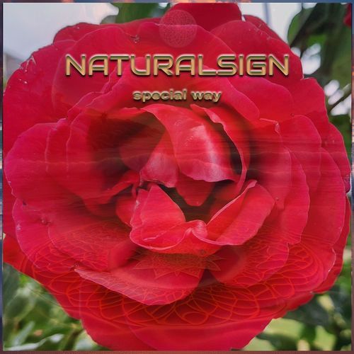 Special Way cover art