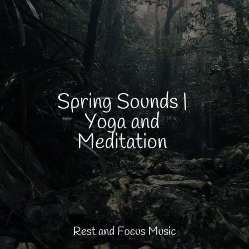 Spring Sounds | Yoga and Meditation