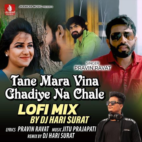 Tane Mara Vina Ghadiye Na Chale Lofi Mix