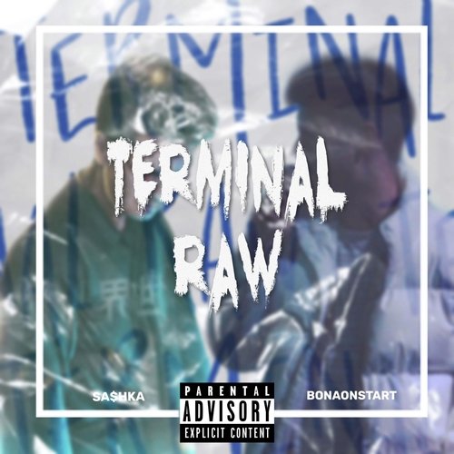 Terminal raw cover art