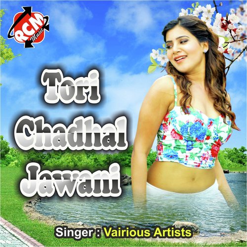 Tori Chadhal Jawani_poster_image