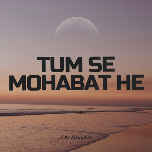 Tum se mohabat he