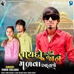 Vaydo Kari Ne Janu Malva Aavje