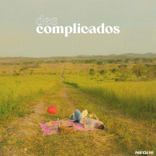 descomplicados_poster_image