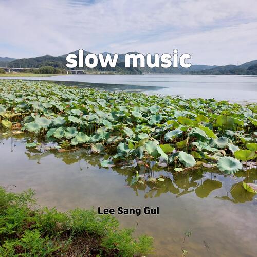 summertime study cover art