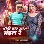 Chhaudi Tor Gor Bhail Re