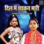 Dil Main Dhadkan Bhari