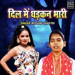 Dil Main Dhadkan Bhari