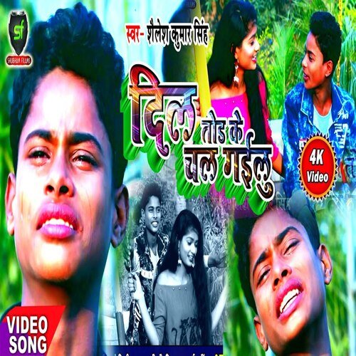 Dilwa Hamar Tod Ke Chali Gaeelu