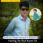 Fairing On Rod Karni Ch