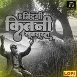 Hai Jindagi Kitani Khubsurat LOFI