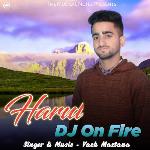 Harul Dj On Fire