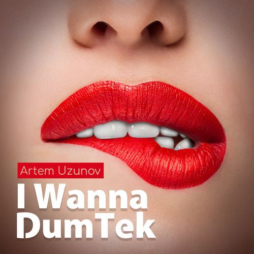 I Wanna DumTek_poster_image