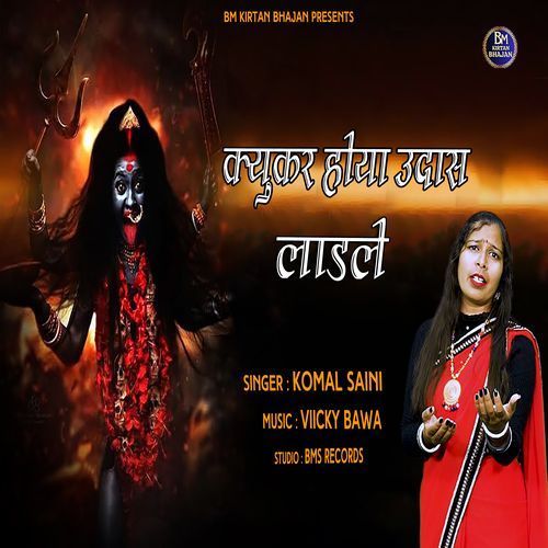 Kukar Hoya Udaas Ladle