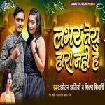 Lover Tera Hara Nahi Hai