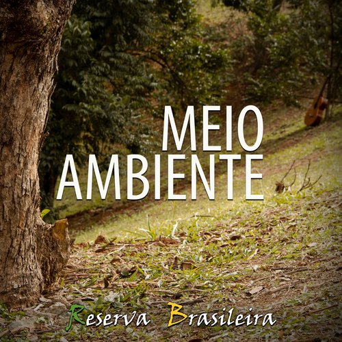 Ferreira Ferreiro (Ao Vivo) cover art