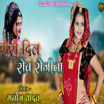 Mero Dil Rov Rojina