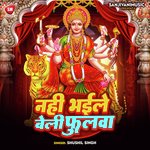 Nahi Bhaile Beli Phulwa