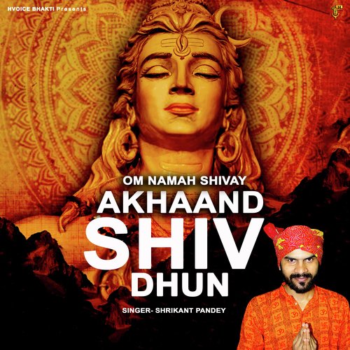 Om Namah Shivay Shiv Dhun