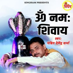 Om Namah Shivaya