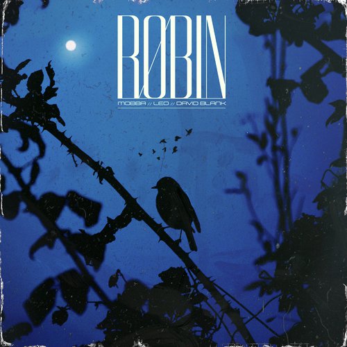 Robin cover art