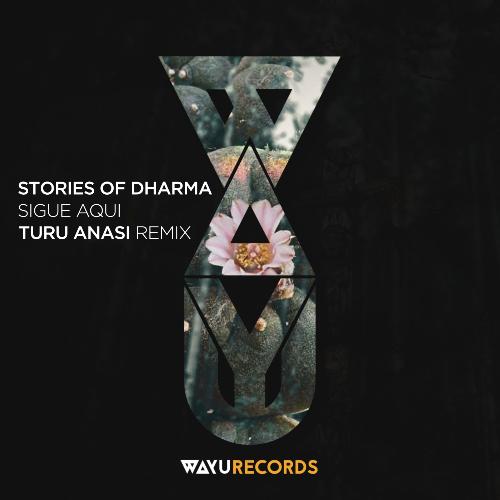 Sigue Aqui (Turu Anası Remix) cover art